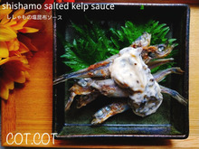 ★こりゃ美味い‼つまみに最適‼ししゃもの塩昆布ソース★