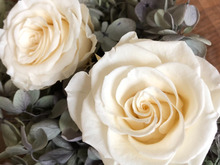 簡単☆プリザーブドフラワーの開花の方法