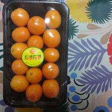 鬼甘い、すげえ糖度・・・・たまたまかなあ~