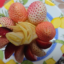 王林と白苺のグラスデザート