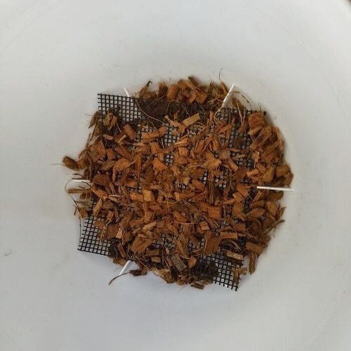 鉢底部分