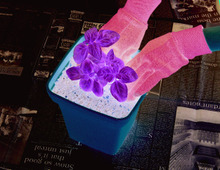 実は超簡単!流行中の「バジル」で親子ガーデニングデビューしませんか?