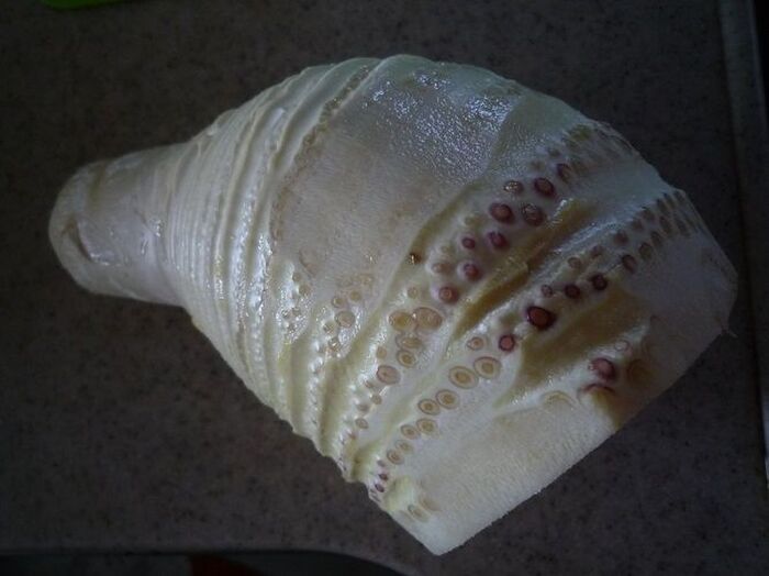 皮をむいた状態