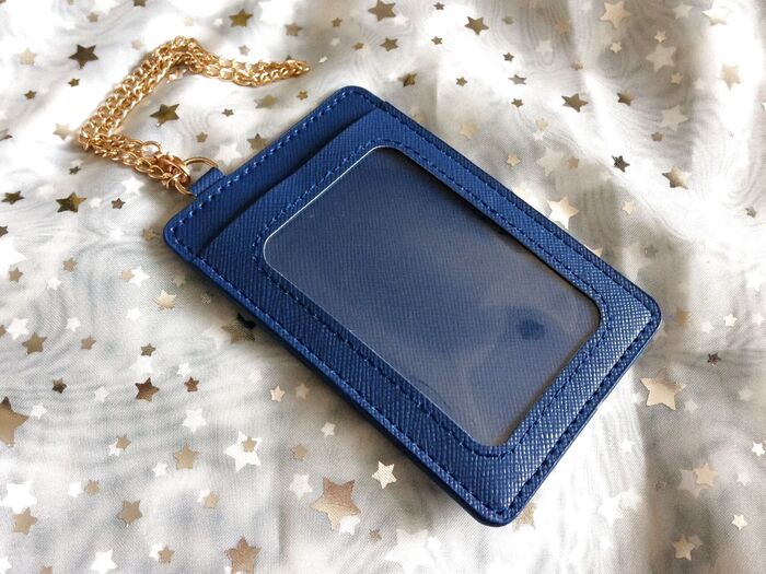 DAISOパスケース*これが110円で買えるとは。