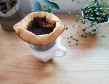 脱臭だけじゃない! コーヒーかすの再利用法5選、試してみた!