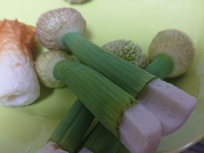 team 竹輪
