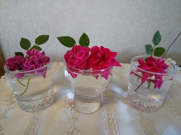 ミニバラの花がら