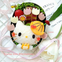 初心者さんにもオススメ♪ちょっぱや!ハローキティのワクワク入園弁当