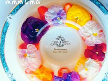 簡単!お花の甘酒ゼリー☆