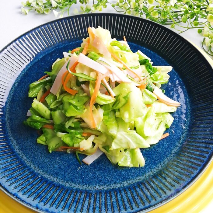 野菜を食べよう!【春きゃべつ】のシャキ×2♪サラダ