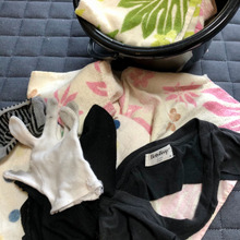 『雑巾』抹殺10年