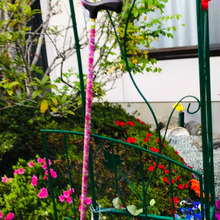 ステッキをオシャレに!