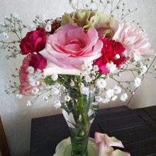 花の活け替えは花留めがあると簡単!