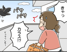 一発撃退!カラス対策に効果てきめんの方法とは?【家事コツ⑦】