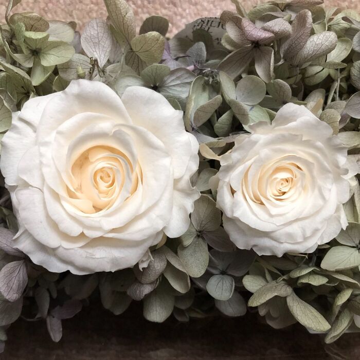 花材の準備①ローズ