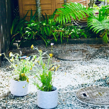 北西をキレイに!健康運UP