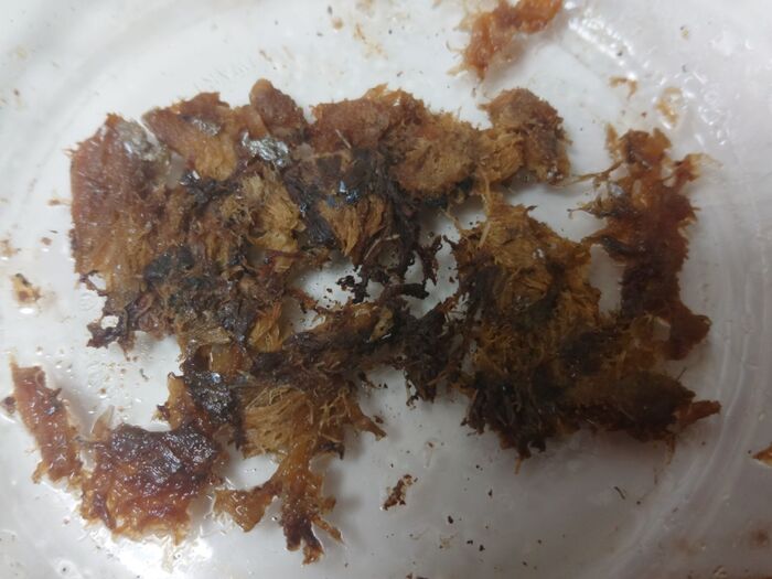 ガラスの皿で挟んで電子レンジにかける!!