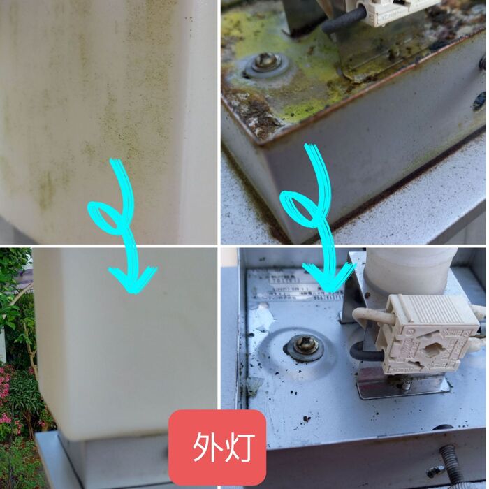 外灯:基本は熱湯と歯ブラシでOK