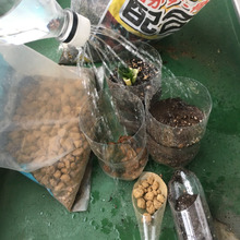 家庭菜園アイテム。あとは土と石を用意するだけ!