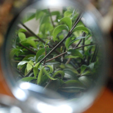 ☆.。₀:*゚風水 〜鏡〜✲゚。.☆.