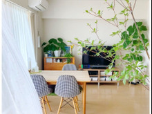 ドウダンツツジ1本で、室内明るく爽やかに♬