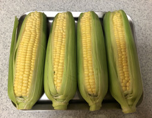 このウマさ、感動もの♪とうもろこしの一番美味しい茹で方・蒸し方とは?