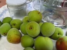 めちゃ簡単‼️梅の実でシロップ