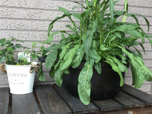 使えなくなったお鍋の再利用