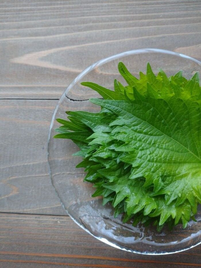 ④大葉を積極的に取り入れる!