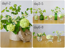 水揚げ重視のアレンジ変化