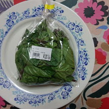 不老不死のハーブ インドのアーユルヴェーダで五千年の歴史!!