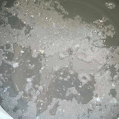 洗濯槽は月1掃除!カビ対策も紹介