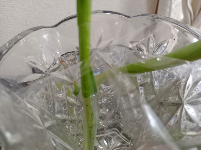 セロテープで口を作る