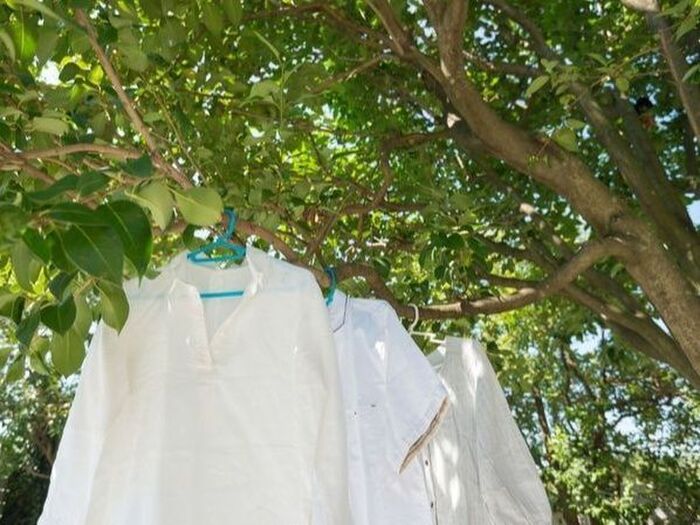 3. 布団を干すおすすめのタイミング