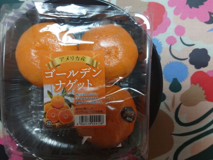 オレンジ・デコポン・セミノールの掛け合わせ！！　　ほぼみかん！！