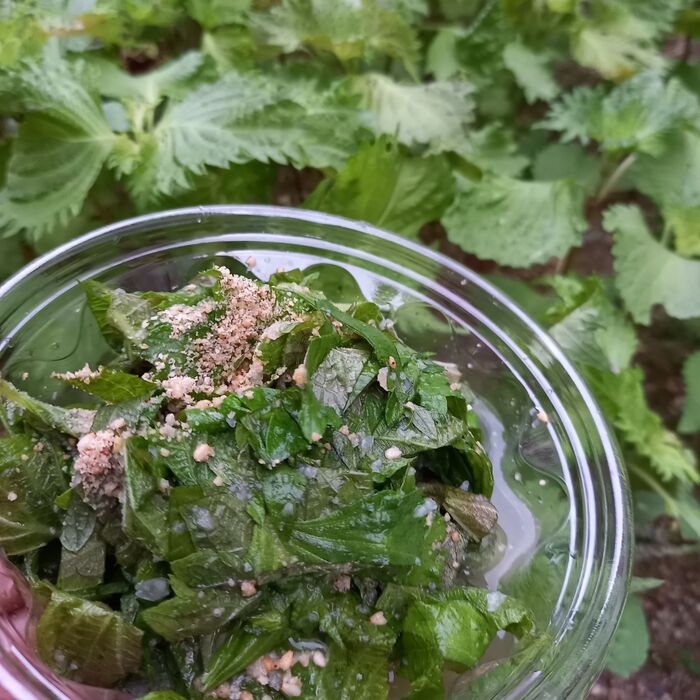 基本のシソだれ