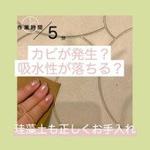 カビが発生!?吸水性が落ちる?珪藻土も正しくお手入れ