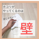 ホコリがやってくるのは床じゃない!「壁」