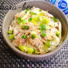 簡単おつまみ♪シャキシャキ長ネギと鯖缶の旨ナムル