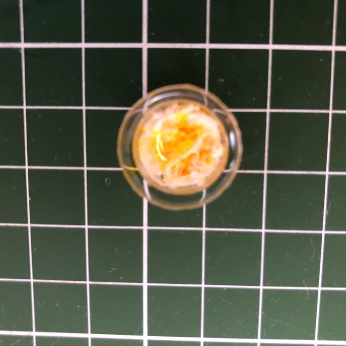 容器に発泡スチロールを少量入れ、トントンと水性ペンで色付けします