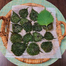 トースターで作れる パリッパリ【大葉チップス】