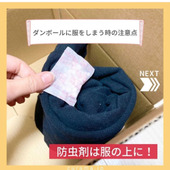 ダンボールに服をしまう時の注意点|防虫剤は服の上に!