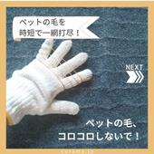 コロコロしないでペットの毛を時短で一網打尽!