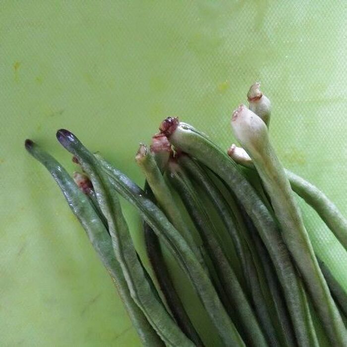 ささげの下処理