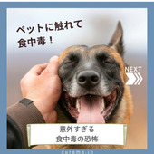意外すぎる 食中毒の恐怖|ペットに触れて食中毒?