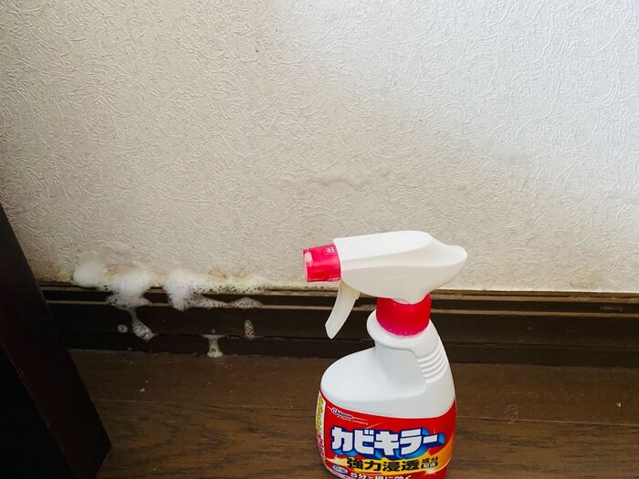 梅雨明けのカビ、気になりませんか?Ⅱ