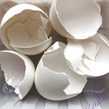 たまごの殻🥚活用法⭐︎