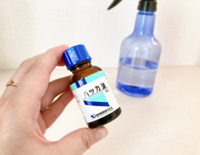 虫よけスプレーは簡単に作れます♪家計にも優しい「ハッカ油スプレー」の使い方