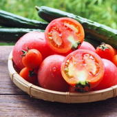 夏バテ予防にオススメ!知って得する、夏野菜を食べるメリット