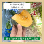 かぼちゃのおすすめ保存法!注意点まとめ